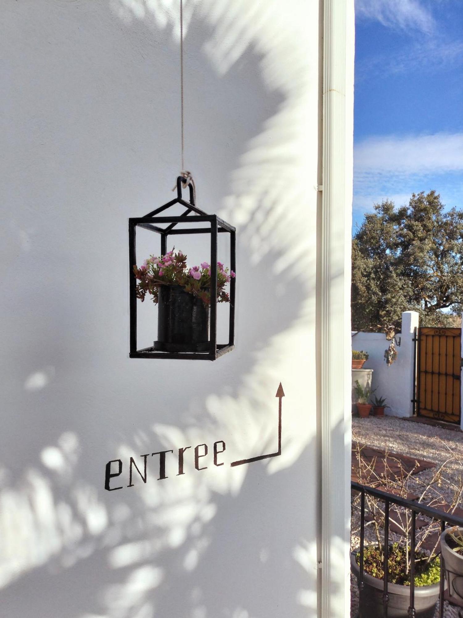 Todos Y Tonya Bed and Breakfast Archidona Eksteriør billede