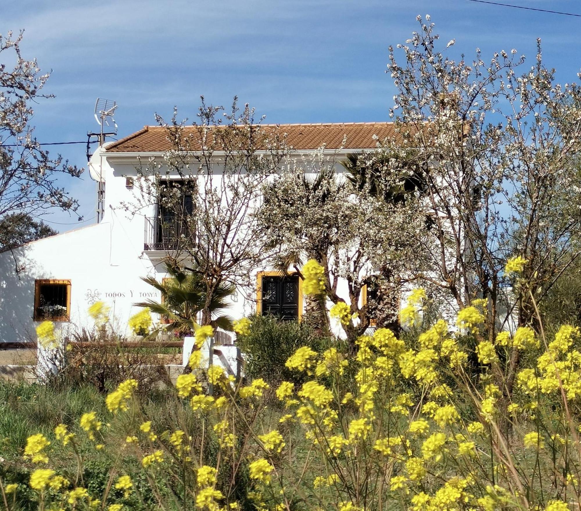 Todos Y Tonya Bed and Breakfast Archidona Eksteriør billede