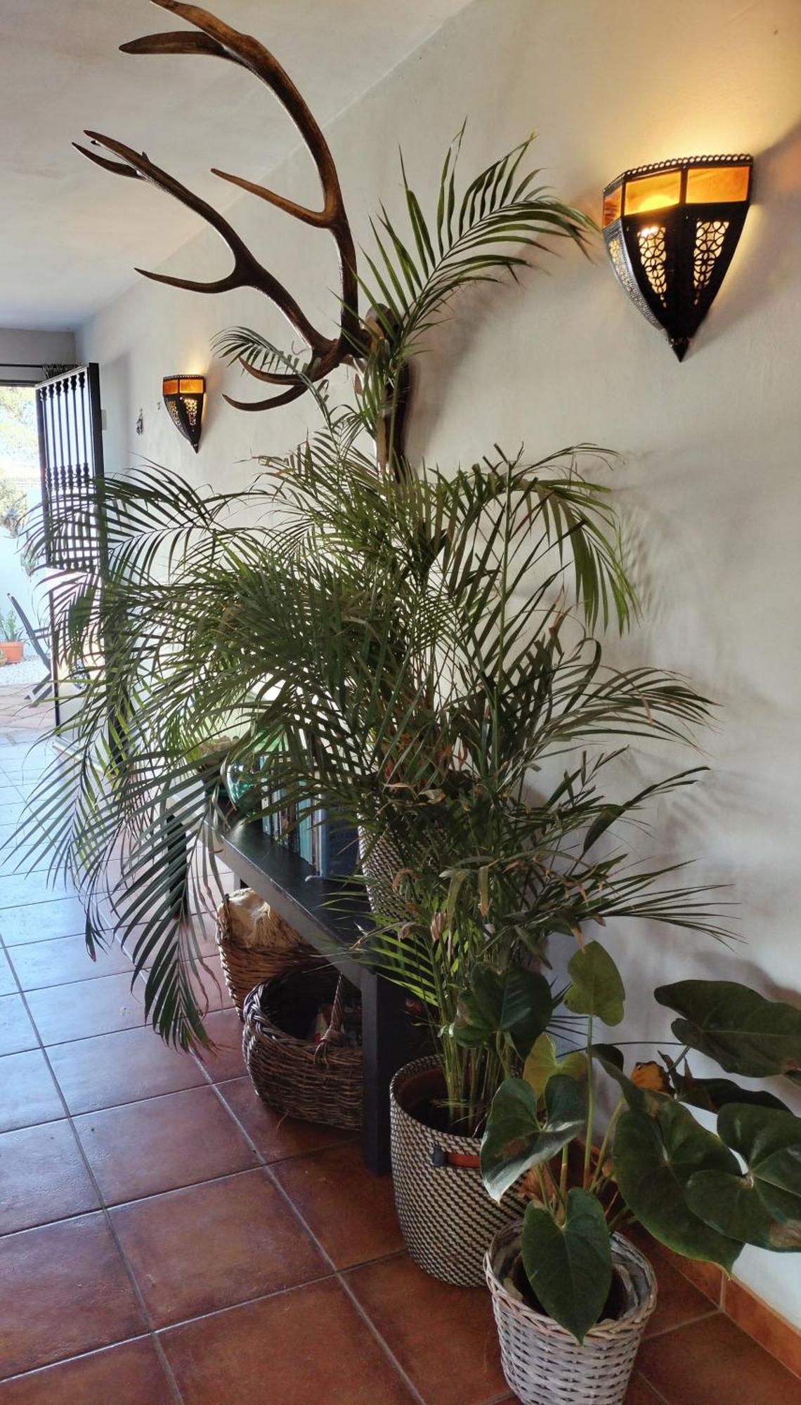 Todos Y Tonya Bed and Breakfast Archidona Eksteriør billede