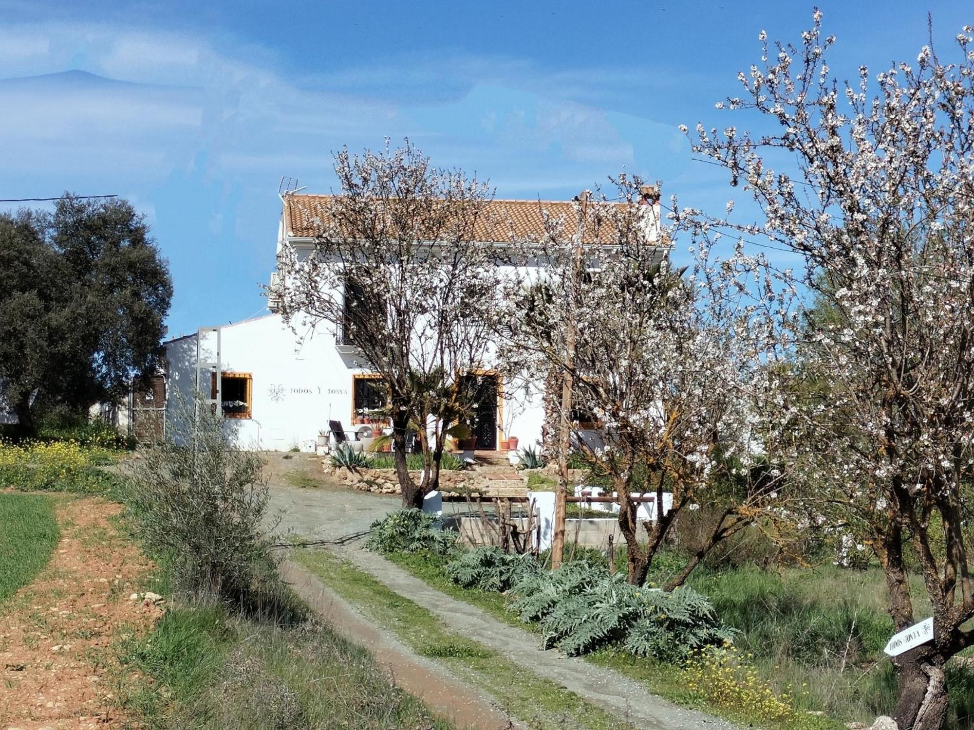 Todos Y Tonya Bed and Breakfast Archidona Eksteriør billede